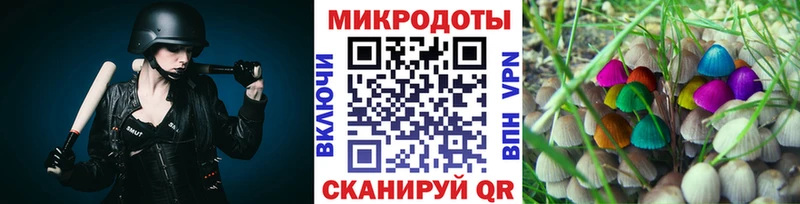 Псилоцибиновые грибы MAGIC MUSHROOMS  продажа наркотиков  Прохладный 