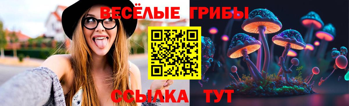 Прохладный  Псилоцибиновые грибы ЛСД  Галлюциногенные грибы Psilocybine cubensis  Вход с VPN 
